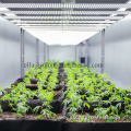 shipping Smart Farm hemp container greenhouse
